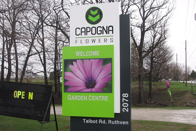 capogna flowers sign